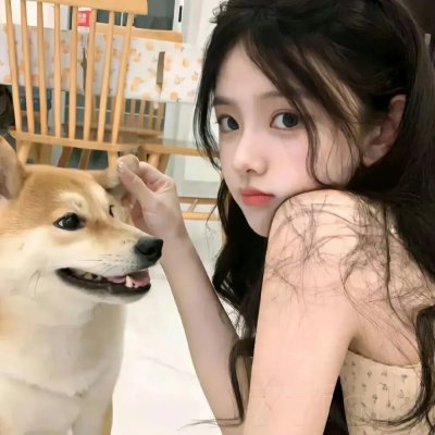 熊猫的故事